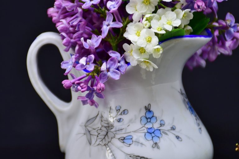 lilac-3369269_1920