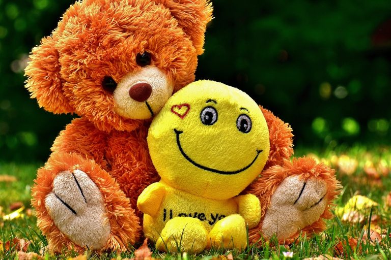 teddy-2468065_1280