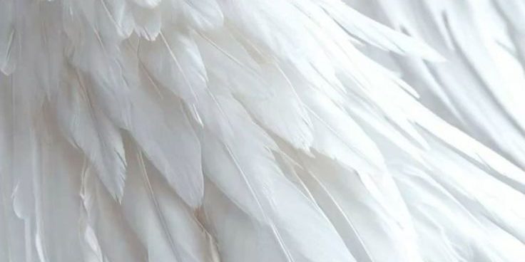 F2ba0f131600c1ae357b2410aafc2507